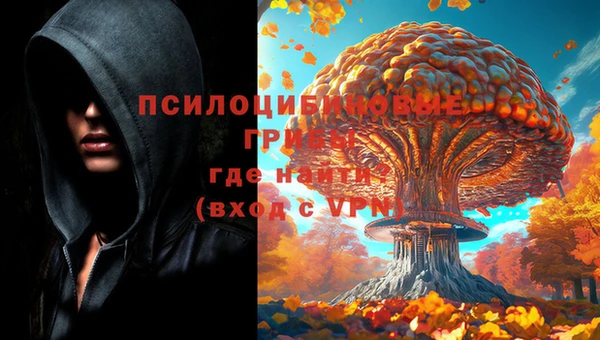 ALPHA PVP Нефтекумск