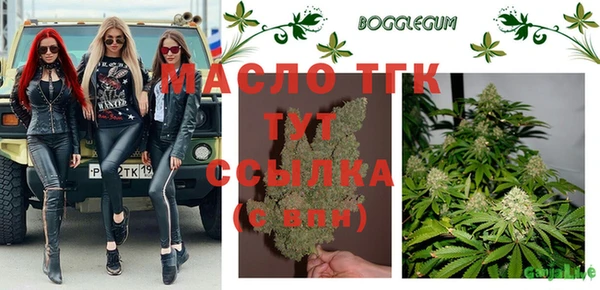 гидра Гусев