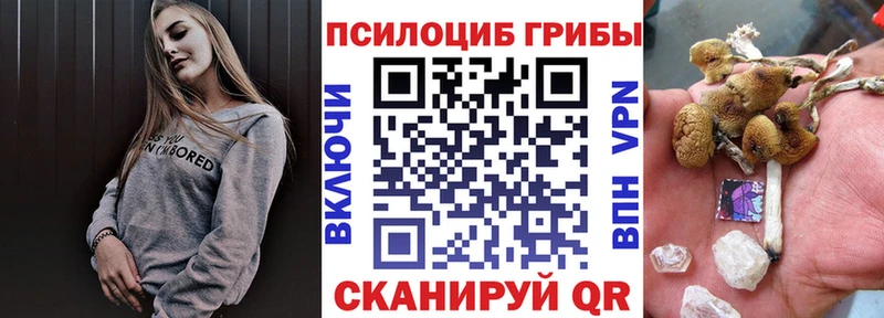 Псилоцибиновые грибы Psilocybe  наркота  Павловск 